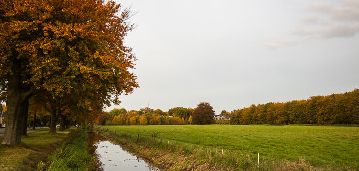 Paisagem do Outono na Holanda c) Bailandesa.nl
